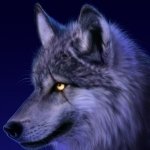 Martin__33